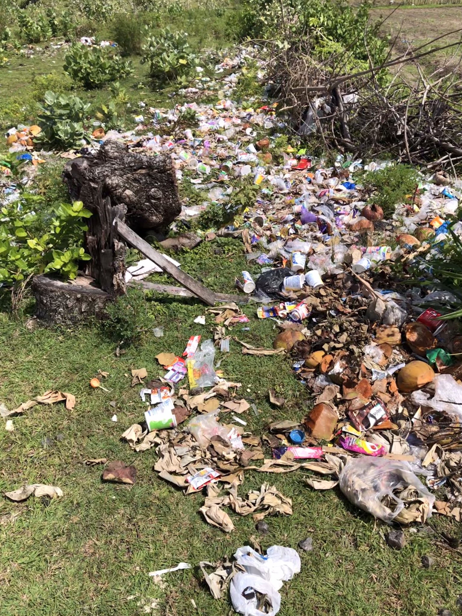 Lombok plastic free - litter in the landscape